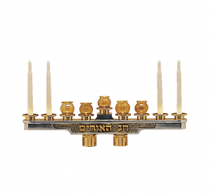 INSERT FOR "LIONS OF JUDAH"