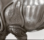 RHINOCEROS