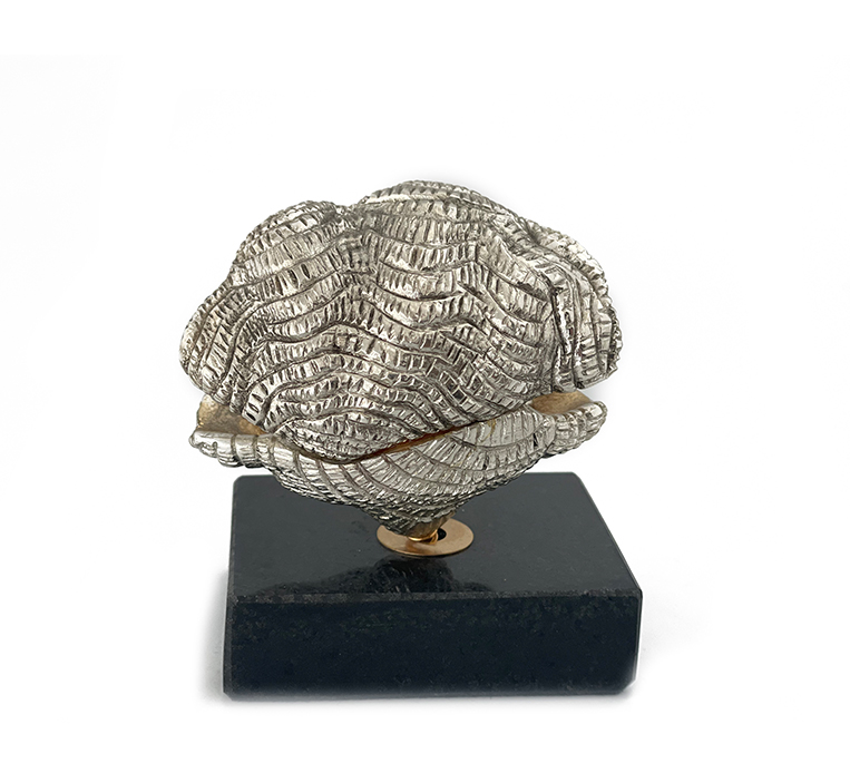 PEARL OYSTER
