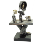 POKER PLAYER
