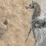 LIONESS Metal Print
